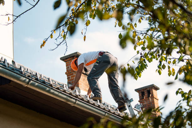 Best Roof Leak Repair  in Lowell, IN